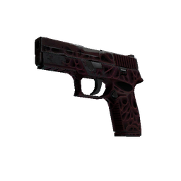 StatTrak™ P250 | Contaminant (Well-Worn)