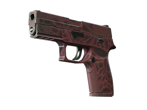 StatTrak™ P250 | Загрязнитель (После полевых испытаний)