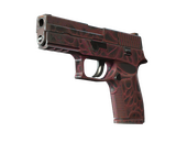 StatTrak™ P250 | Contaminant (Well-Worn)