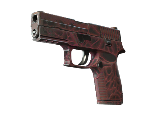 StatTrak P250 | Contaminant
