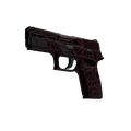 P250 | Contaminant (Field-Tested)