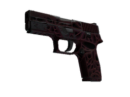 P250 | Contaminant (Minimal Wear)