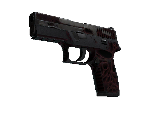 P250 | Contaminant (Battle-Scarred)