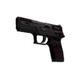 P250 | Contaminant (Battle-Scarred)