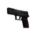 P250 | Contaminant (Battle-Scarred)
