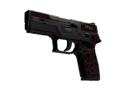 StatTrak P250 | Contaminant