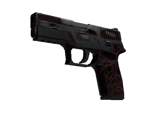 StatTrak P250 | Contaminant