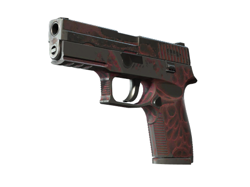 P250 | Contaminant (Battle-Scarred)