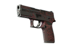 P250 | Contaminant (Battle-Scarred)