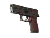 StatTrak™ P250 | Contaminant (Battle-Scarred)