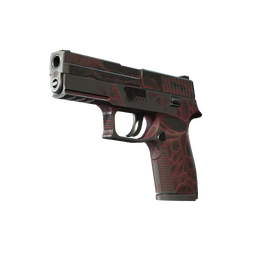 P250 | Contaminant (Battle-Scarred)
