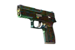 P250 | Visions (Battle-Scarred)