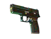 P250 | Visions (Battle-Scarred)