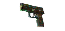 skinBest