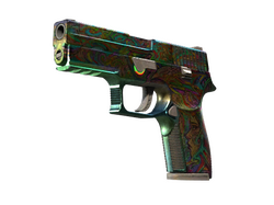 P250 | Visions