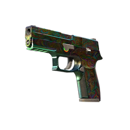 P250 | Visions (Battle-Scarred)