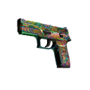 P250 | Visions (Factory New)