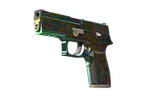 StatTrak™ P250 | Visions (Factory New)