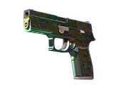 StatTrak™ P250 | Visions (Factory New)