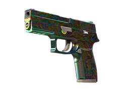 P250 | Visions