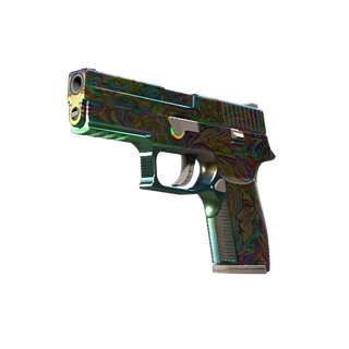 P250 | Visions (Factory New)