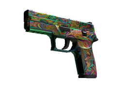 P250 | Visions (Battle-Scarred)