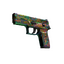 P250 | Visions (Field-Tested)