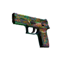 StatTrak™ P250 | Visions (Field-Tested)