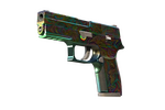 StatTrak™ P250 | Visions (Field-Tested)