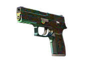 StatTrak™ P250 | Visions (Well-Worn)