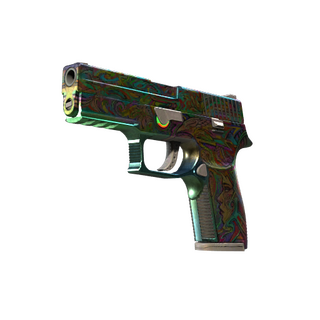 P250 | Visions (Well-Worn)