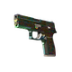 P250 | Visions (Field-Tested)