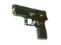 P250 | Visions