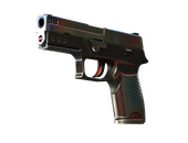 StatTrak™ P250 | Cyber Shell (Well-Worn)