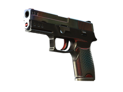 StatTrak P250 | Cyber Shell