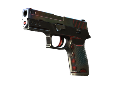 P250 | Cyberschutz