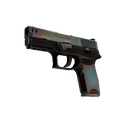 P250 | Cyber Shell (Field-Tested)