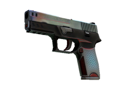 P250 | Cyber Shell