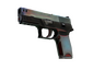 StatTrak™ P250 | Cyber Shell