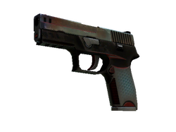 P250 | Cyber Shell