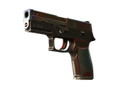 StatTrak™ P250 | Cyber Shell (Battle-Scarred)