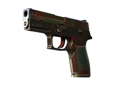 StatTrak™ P250 | Cyber Shell