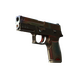 P250 | Cyber Shell (Battle-Scarred)