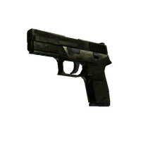 P250 | Iron Clad (Battle-Scarred)