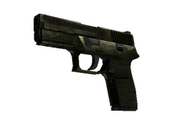 StatTrak™ P250 | Iron Clad