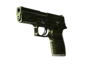 StatTrak™ P250 | Iron Clad (Well-Worn)