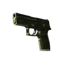 StatTrak™ P250 | Iron Clad (Well-Worn)