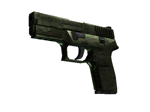 P250 | Iron Clad (Well-Worn)