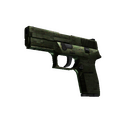 P250 | Iron Clad (Well-Worn)