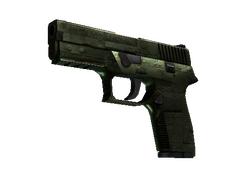 StatTrak™ P250 | Iron Clad